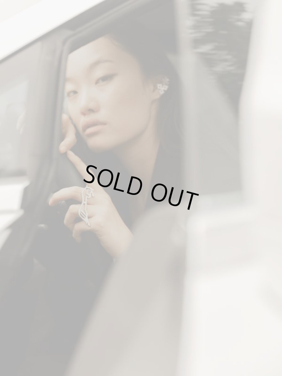 画像5: Commelina  (5)