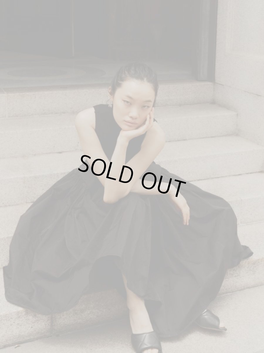 画像10: Commelina  (10)