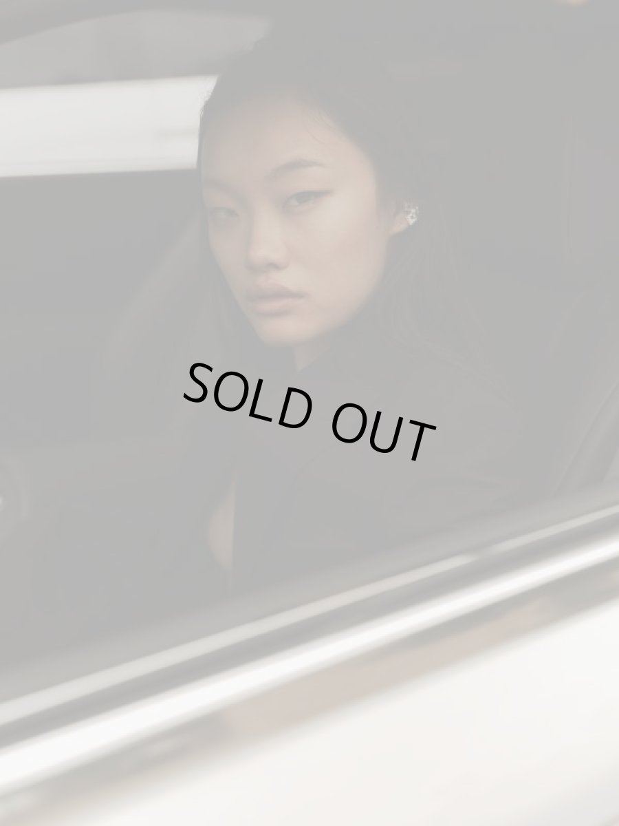 画像4: Commelina  (4)