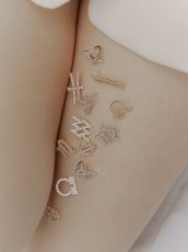 画像40: sign* (40)