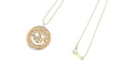 画像9: coin 100yen / 5yen 　 (9)