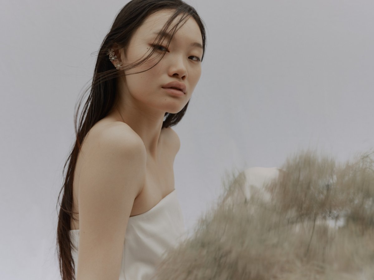 画像5: Special Limited Set / Oxypetalum (〜3/31) (5)