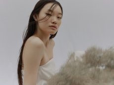 画像5: Special Limited Set / Oxypetalum (〜3/31) (5)