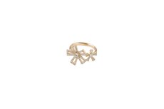 画像1: Oxypetalum  ring (1)