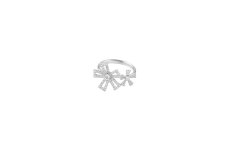 画像2: Oxypetalum  ring (2)