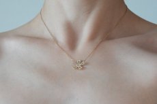 画像4: Oxypetalum  necklace (4)